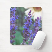 Paarse Salvia Muismat (Met muis)