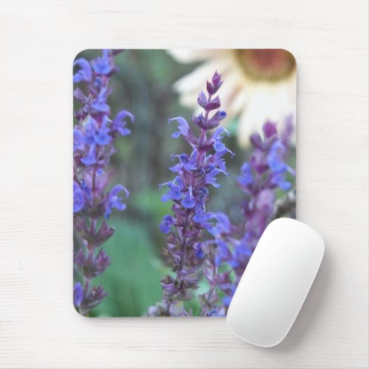 Paarse Salvia Muismat (Met muis)