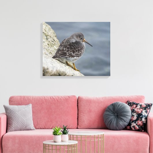 Paarse Sandpiper Canvas Afdruk (Insitu (Woonkamer))