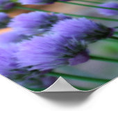 Paarse Scallion Allium Flowers Orton Art Poster (Hoek)