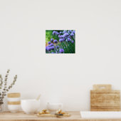 Paarse Scallion Allium Flowers Orton Art Poster (Keuken)