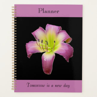 Paarse Schaduw Lelie Planner