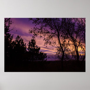 Paarse schemering hemel boom silhouet poster