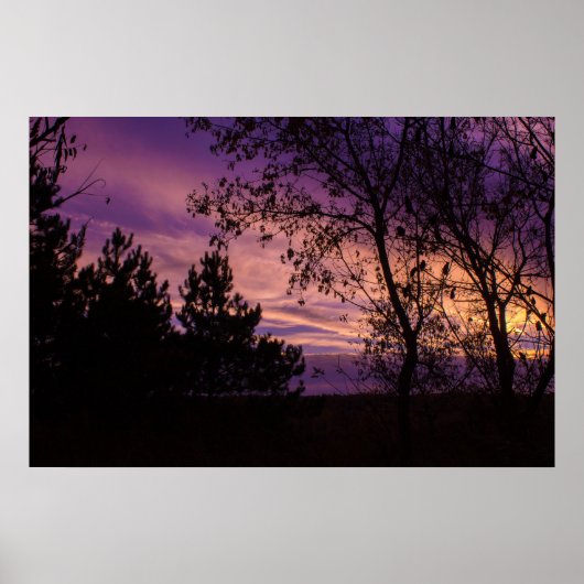 Paarse schemering hemel boom silhouet poster (Voorkant)