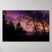 Paarse schemering Sky Tree Silhouet Poster (Voorkant)