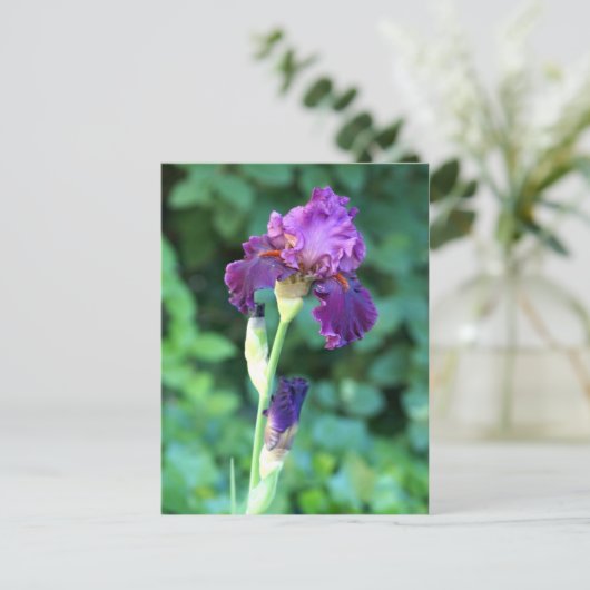 Paarse schoonheid briefkaart (Staand voorkant)