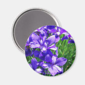 Paarse schoonheid magneet (Voorkant / Achterkant)