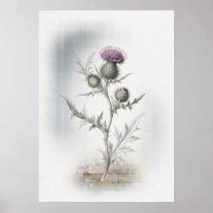Paarse Schotse Distel Watercolor Poster