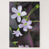 Paarse Shamrock Plant Flowers close-up foto Legpuzzel (Verticaal)