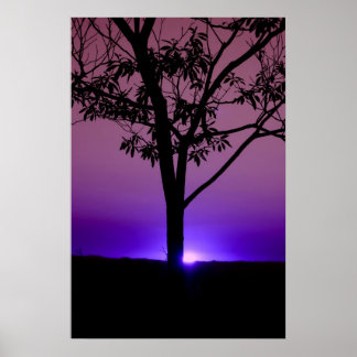 Paarse Sky Poster