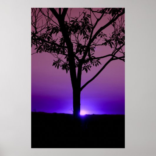Paarse Sky Poster (Voorkant)