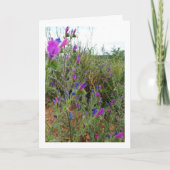 Paarse slangenkruid, Echium Plant Kaart (Voorkant)