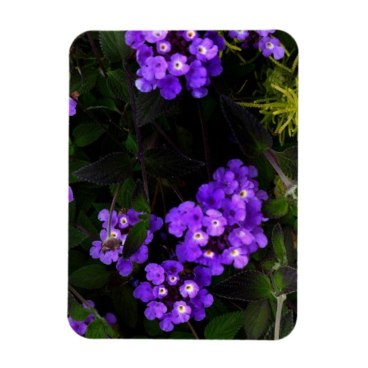 Paarse sleepboot Lantana #1 Magnet Magneet (Verticaal)
