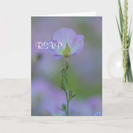 Paarse Sleutelbloem RSVP (Voorkant)