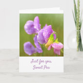 Paarse snoepgoed kaart (Voorkant)