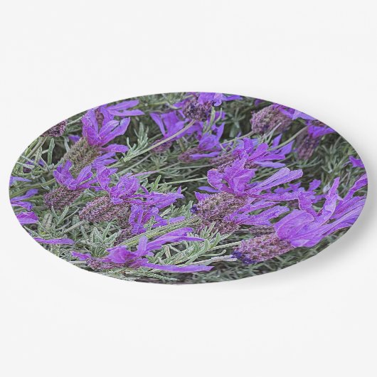 Paarse Spaanse Lavendel Bloeit Bloemen Papieren Bordje (Gekanteld)
