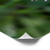 paarse spatlap poster (Hoek)