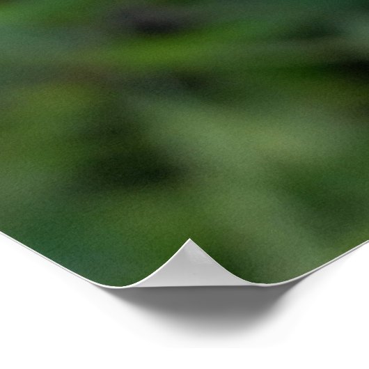 paarse spatlap poster (Hoek)