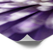 Paarse Spider Mum Poster (Hoek)