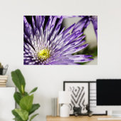 Paarse Spider Mum Poster (Thuiskantoor)