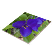 Paarse Spiderwort Bloem Floral Tegeltje (Zijkant)