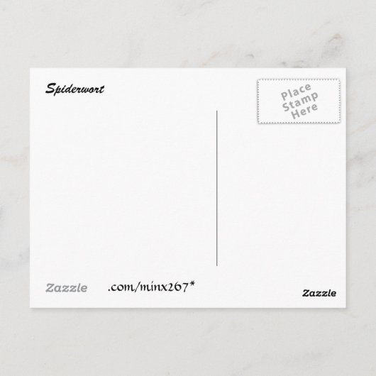 Paarse Spiderwort briefkaart (Achterkant)