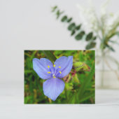 Paarse spiderwortbloem briefkaart (Staand voorkant)