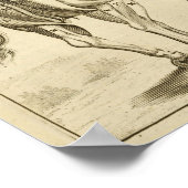 -paarse-spieren Anatomie-kunst afdrukken Poster (Hoek)