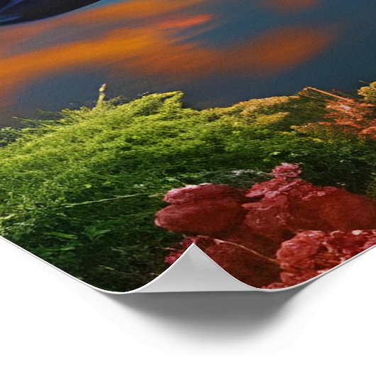 Paarse springplank Pond bij Sunrise Poster (Hoek)