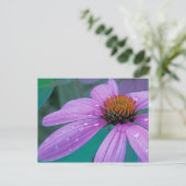 Paarse steenbloem met waterdruppels briefkaart (Staand voorkant)