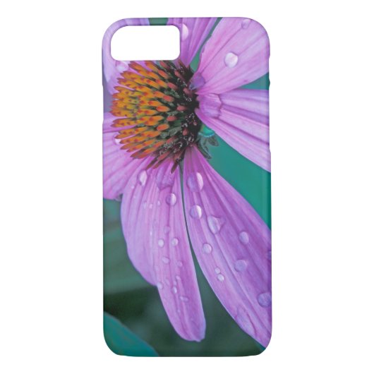 Paarse steenbloem met waterdruppels Case-Mate iPhone case (Achterkant)