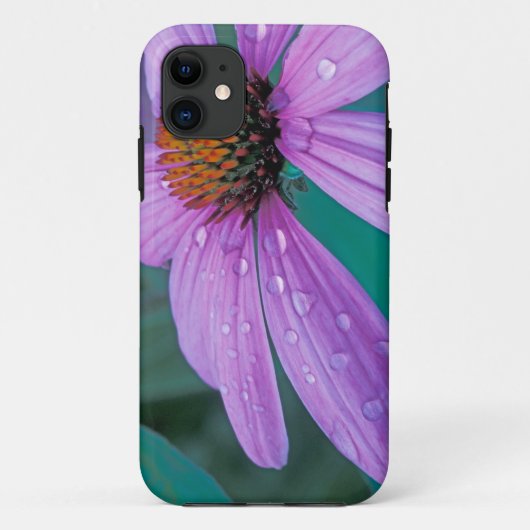 Paarse steenbloem met waterdruppels Case-Mate iPhone case (Achterkant)
