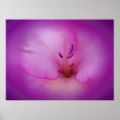 Paarse stemming poster (Voorkant)