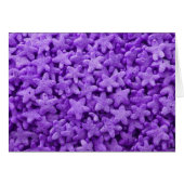 Paarse Sterren Ontbijt Ontbijt Voedingspatroon (Voorkant Horizontaal)