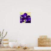 Paarse Streptocarpusbloem Poster (Keuken)