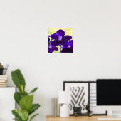 Paarse Streptocarpusbloem Poster (Thuiskantoor)