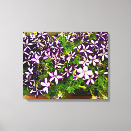 Paarse strippinda's canvas afdruk