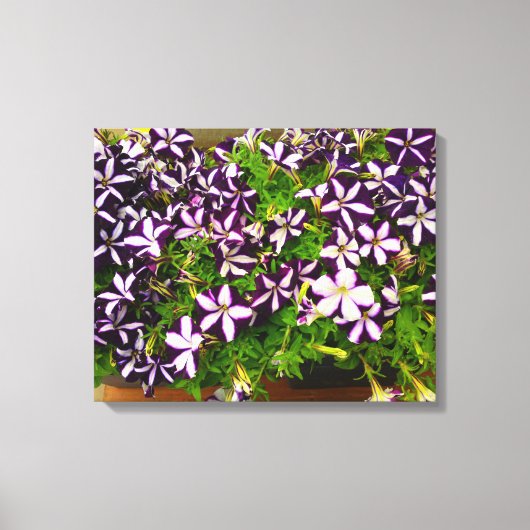 Paarse strippinda's canvas afdruk (Voorkant)