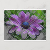 PAARSE STROOM BRIEFKAART (Voorkant)