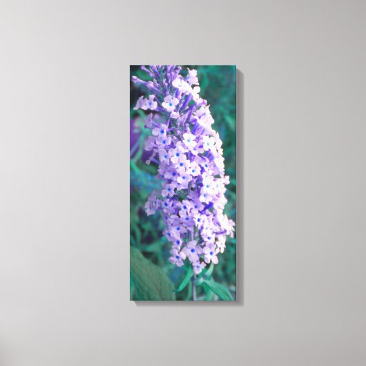 Paarse Struik van de Butterfly Canvas Afdruk (Voorkant)