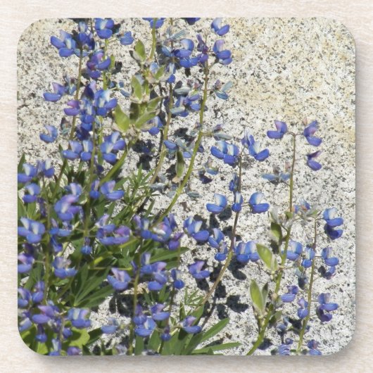 Paarse subalpine Lupine Floral Bier Onderzetter (Voorkant)