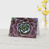 Paarse Succulent Close Kaart (Gele Bloem)