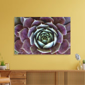 Paarse Succulent Close-up Canvas Afdruk (Insitu (Woonkamer))