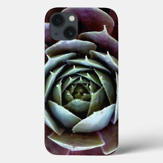 Paarse Succulent Close-up Case-Mate iPhone Case (Achterkant)