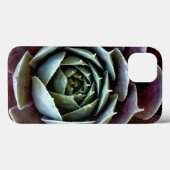 Paarse Succulent Close-up Case-Mate iPhone Case (Achterkant (horizontaal))