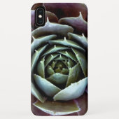 Paarse Succulent Close-up Case-Mate iPhone Case (Achterkant)