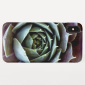 Paarse Succulent Close-up Case-Mate iPhone Case (Achterkant (horizontaal))