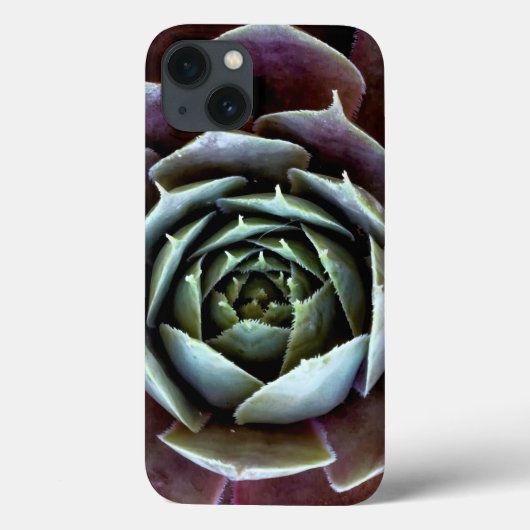 Paarse Succulent Close-up Case-Mate iPhone Case (Achterkant)