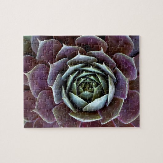 Paarse Succulent Close-Up Legpuzzel (Horizontaal)