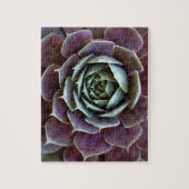 Paarse Succulent Close-Up Legpuzzel (Verticaal)